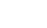 Flynet Logo